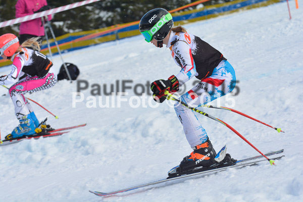 DSC U12 Finale Team 2015