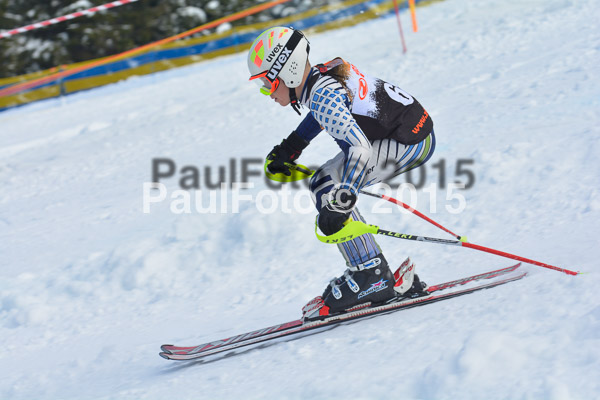 DSC U12 Finale Team 2015