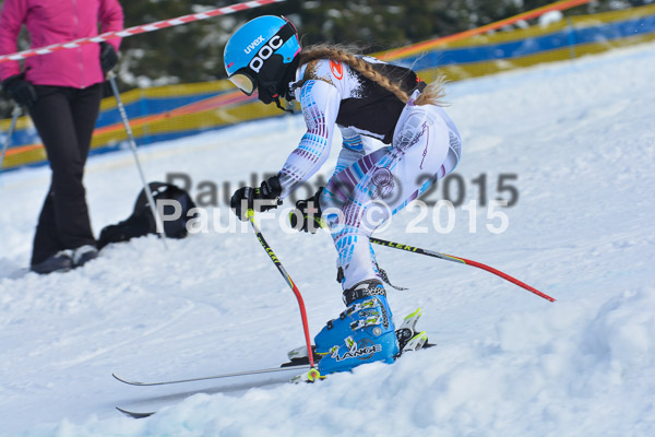 DSC U12 Finale Team 2015