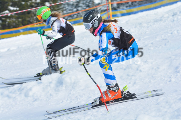 DSC U12 Finale Team 2015