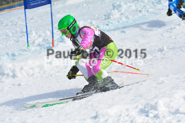 DSC U12 Finale Team 2015