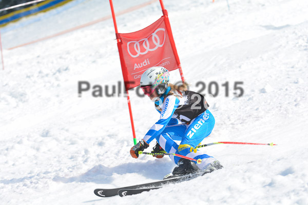 DSC U12 Finale Team 2015