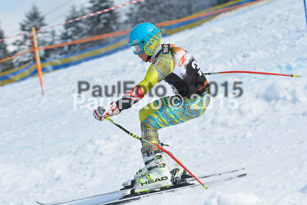 DSC U12 Finale Team 2015
