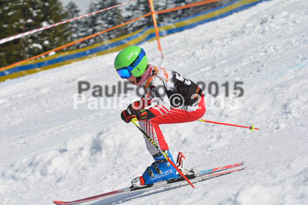 DSC U12 Finale Team 2015
