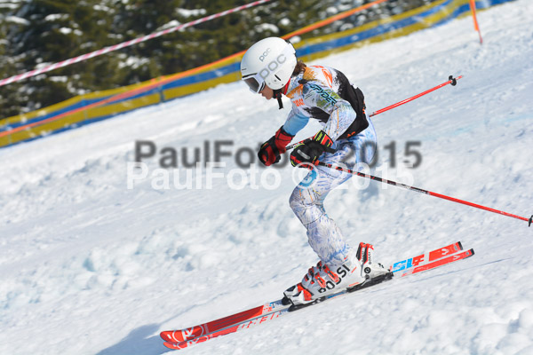 DSC U12 Finale Team 2015