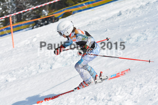 DSC U12 Finale Team 2015