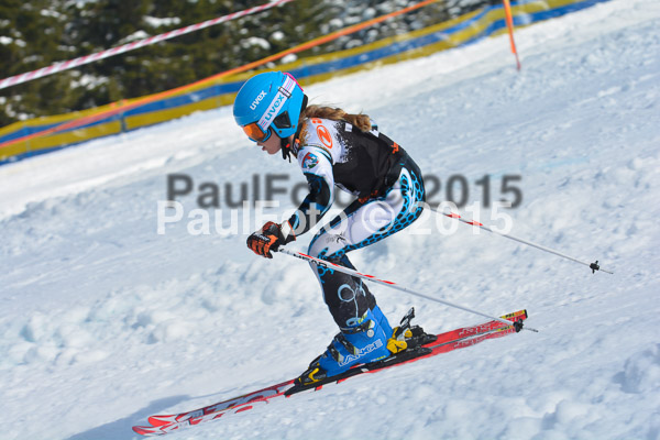 DSC U12 Finale Team 2015