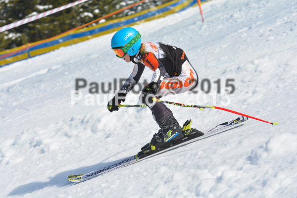 DSC U12 Finale Team 2015