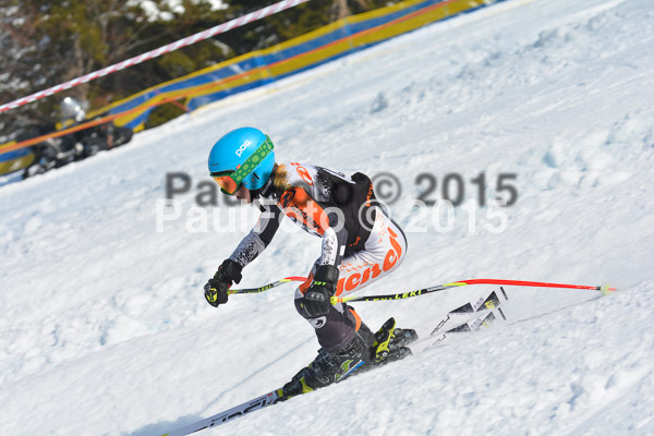 DSC U12 Finale Team 2015