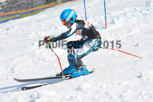 DSC U12 Finale Team 2015