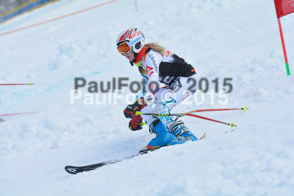 DSC U12 Finale Team 2015
