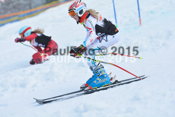 DSC U12 Finale Team 2015