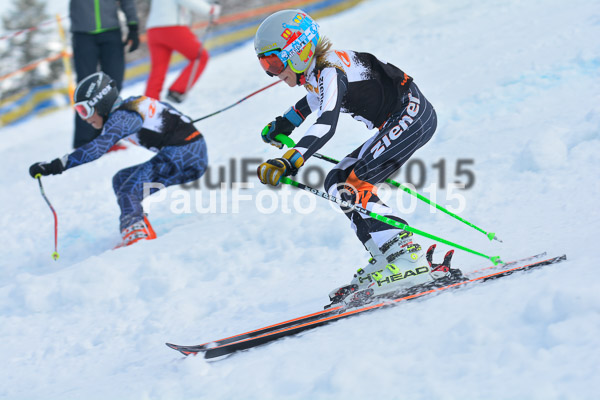 DSC U12 Finale Team 2015
