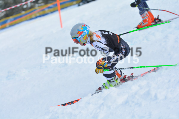 DSC U12 Finale Team 2015