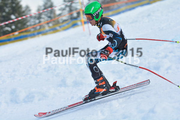 DSC U12 Finale Team 2015