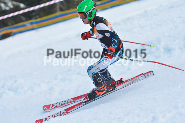 DSC U12 Finale Team 2015