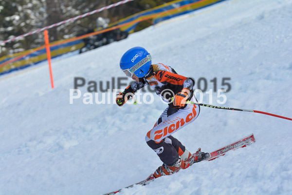 DSC U12 Finale Team 2015