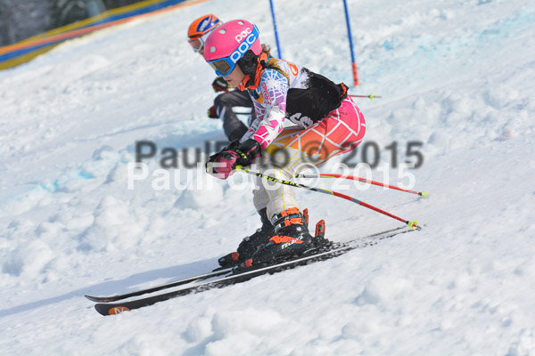 DSC U12 Finale Team 2015
