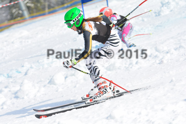 DSC U12 Finale Team 2015