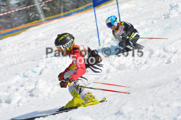 DSC U12 Finale Team 2015