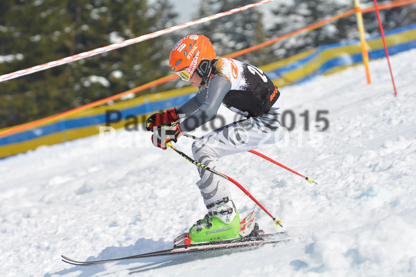 DSC U12 Finale Team 2015