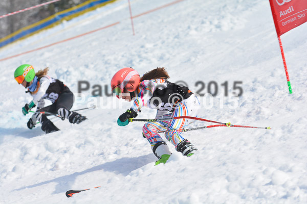 DSC U12 Finale Team 2015