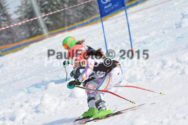 DSC U12 Finale Team 2015