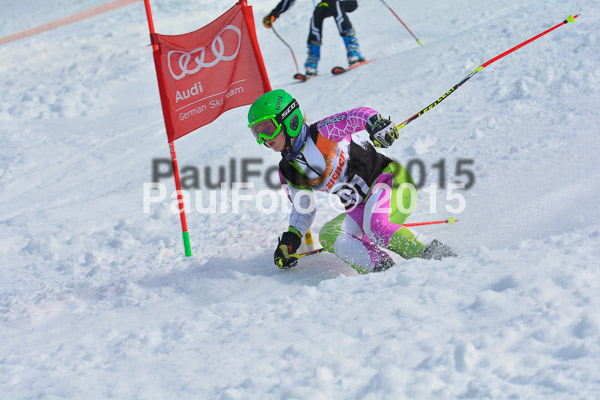DSC U12 Finale Team 2015