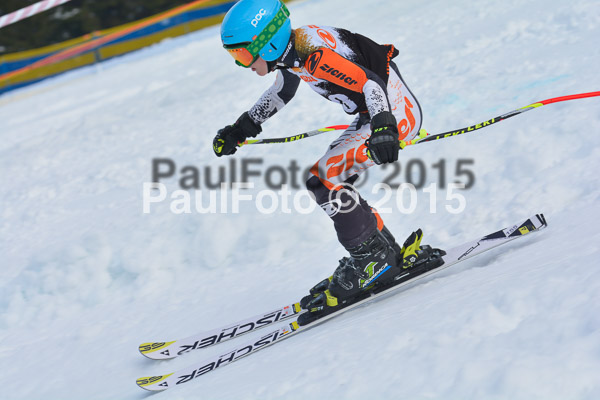 DSC U12 Finale Team 2015