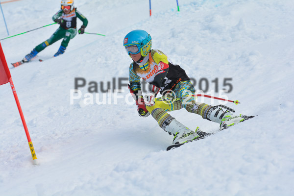 DSC U12 Finale Team 2015