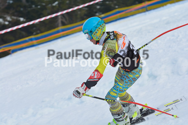 DSC U12 Finale Team 2015