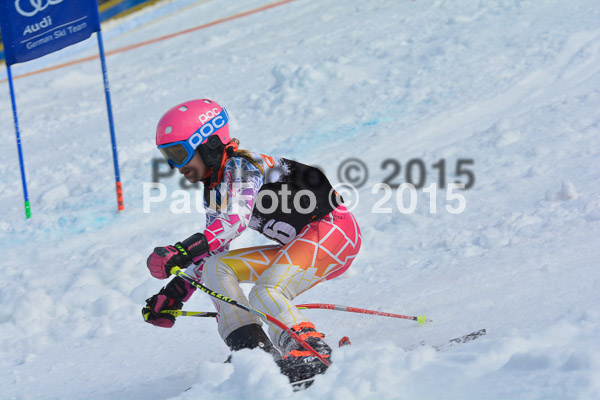 DSC U12 Finale Team 2015