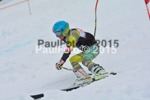 DSC U12 Finale Team 2015