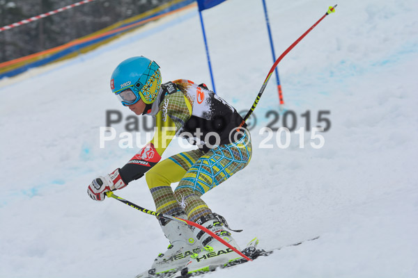 DSC U12 Finale Team 2015