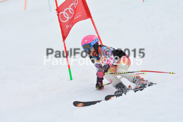DSC U12 Finale Team 2015