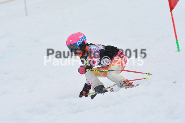 DSC U12 Finale Team 2015
