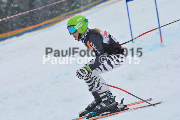 DSC U12 Finale Team 2015