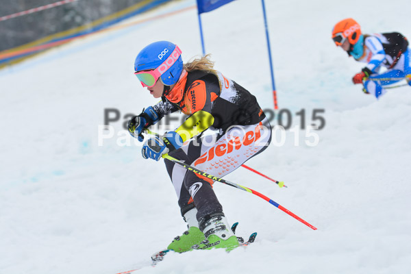 DSC U12 Finale Team 2015