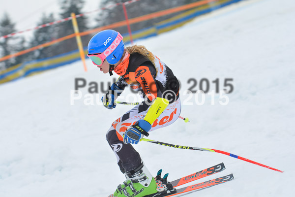 DSC U12 Finale Team 2015