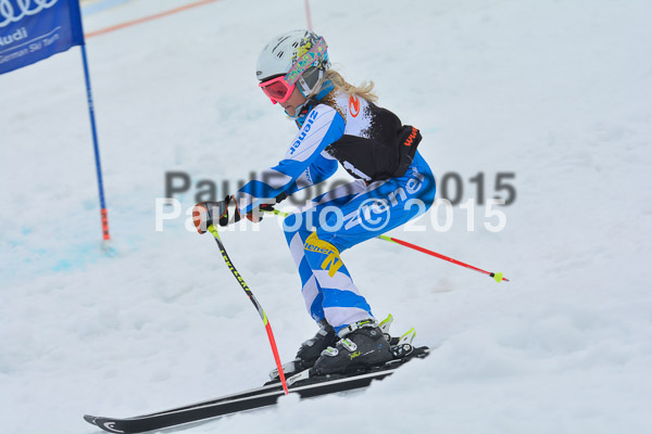 DSC U12 Finale Team 2015