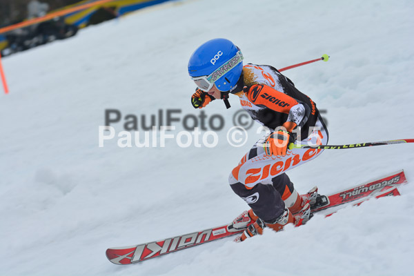DSC U12 Finale Team 2015
