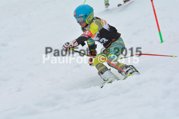 DSC U12 Finale Team 2015