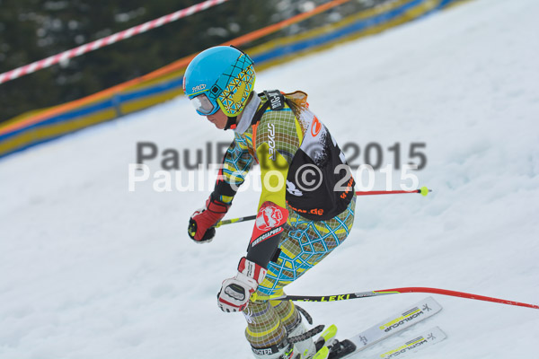 DSC U12 Finale Team 2015