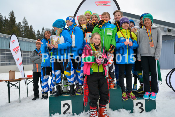 DSC U12 Finale Team 2015