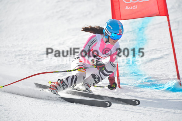 Int. Dt. Meisterschaft Abfahrt 2015
