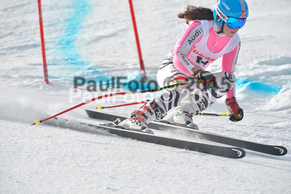 Int. Dt. Meisterschaft Abfahrt 2015