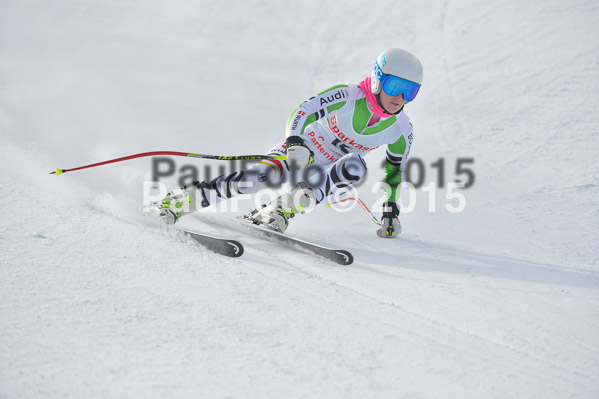 Int. Dt. Meisterschaft Abfahrt 2015