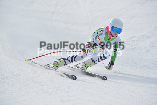 Int. Dt. Meisterschaft Abfahrt 2015