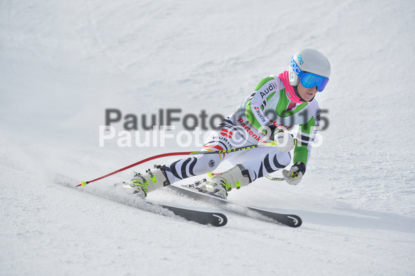 Int. Dt. Meisterschaft Abfahrt 2015