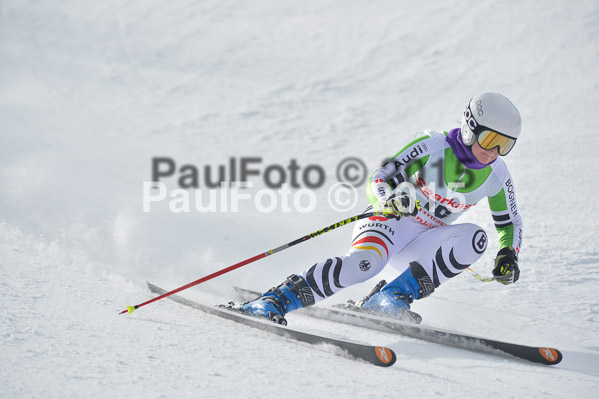 Int. Dt. Meisterschaft Abfahrt 2015